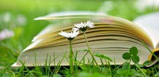 open book on grass with daisies